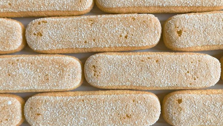 Savoiardi Matilde Vicenzi: el corazón del auténtico tiramisú italiano