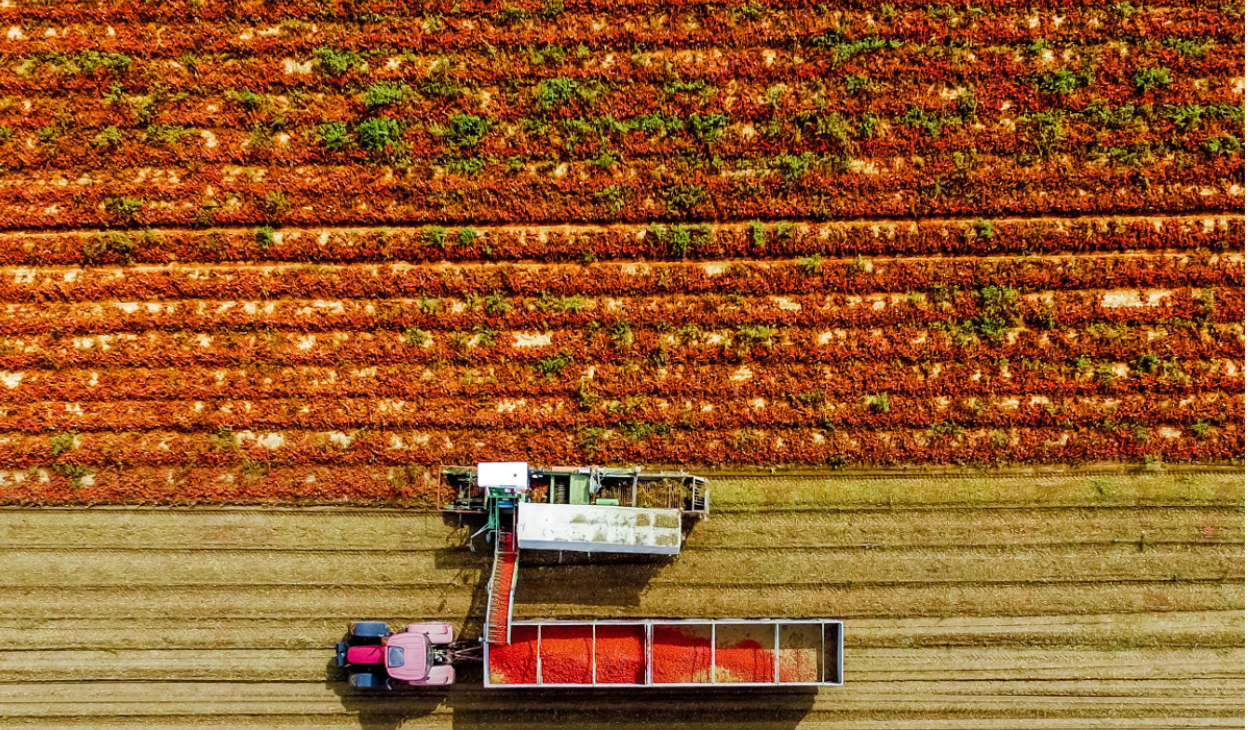 Mutti: del Valle de los Alimentos a tu cocina profesional