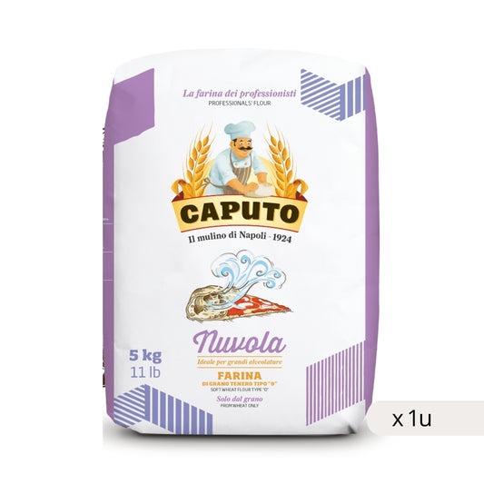 Farina Caputo Nuvola Tipo 0 sacco 5kg pizza alveolata