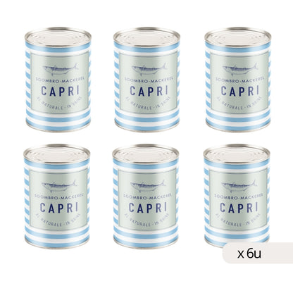 Filetes de Caballa Natural 425g