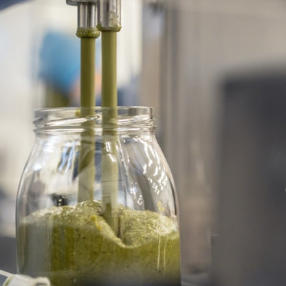 Pesto SIN Gluten de Pistacho Siciliano 500g