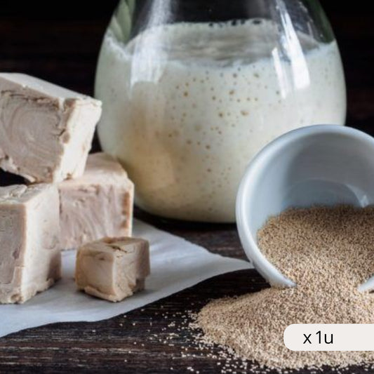 Gluten-Free Brewing Yeast 21g